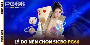 Lý Do Nên Chọn Sicbo PG66